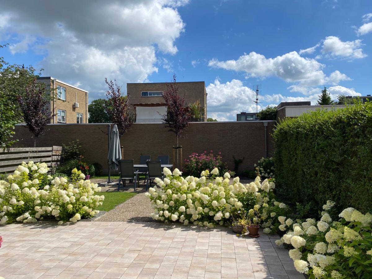 Studio Brinkstraat Hoogeveen Εξωτερικό φωτογραφία